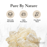 White Copal Resin