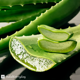 Aloe Vera Butter