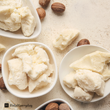 Shea Butter 5 lb. Bucket | Skincare Creation | Cosmetic Grade