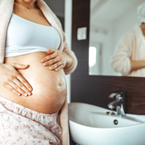 Shea Butter 5 lb. Bucket | Skincare Creation | Cosmetic Grade