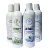 Madina Shea & Black Seed Lotion Bundle 2pc | 12 oz. Plastic Bottle |
