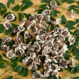 Moringa Oil 4oz Dropper