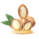 Argan Oil 4oz Dropper