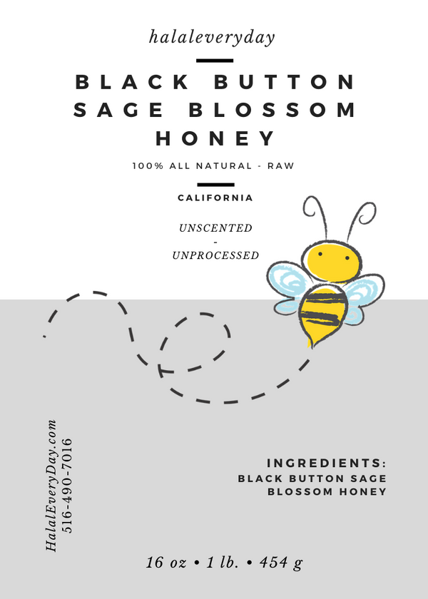 Black Button Sage Blossom Honey