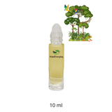 Rainforest Fantasy Fragrance Oil