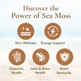 Irish Sea Moss (Whole Leaf)