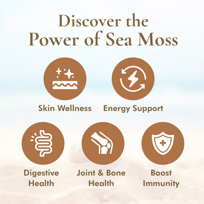 Irish Sea Moss (Whole Leaf)