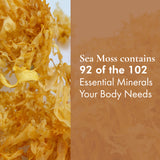 Irish Sea Moss (Whole Leaf)