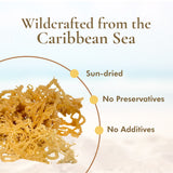 Irish Sea Moss (Whole Leaf)