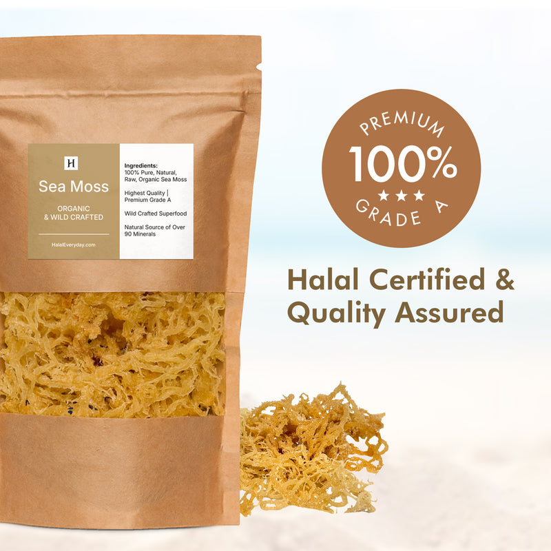 Irish Sea Moss (Whole Leaf)