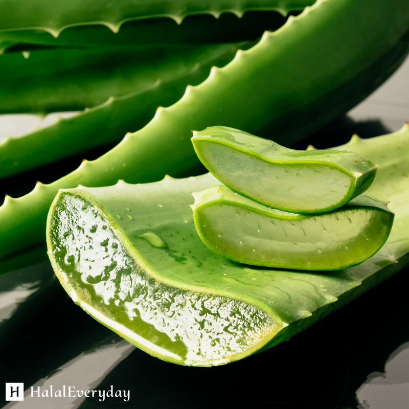 Aloe Vera Butter – HalalEveryday