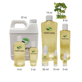 Rainforest Fantasy Fragrance Oil