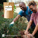 Neem Cake (Seed Meal) Powder