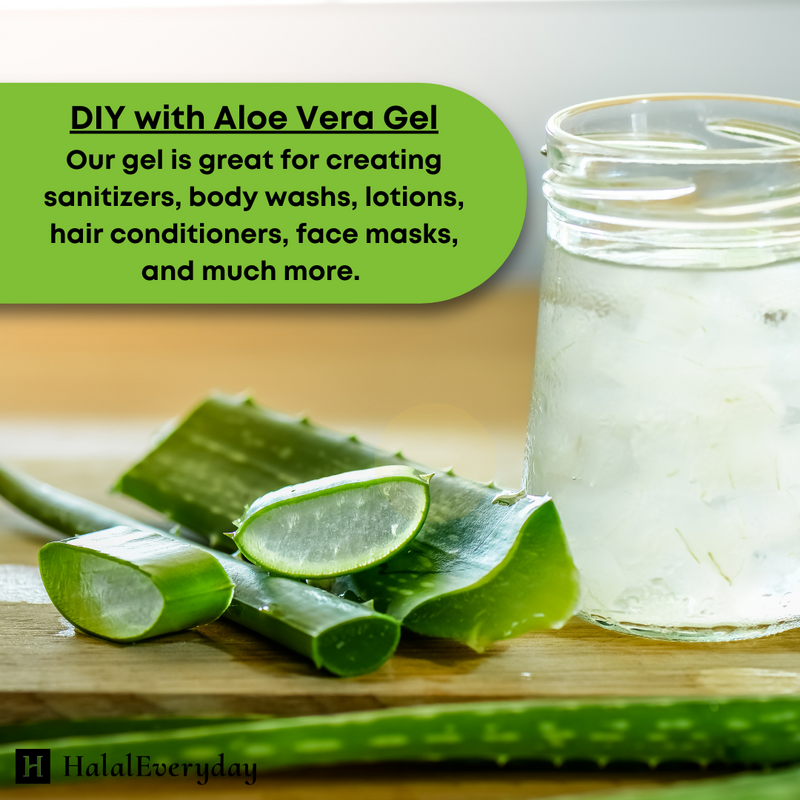 aloe vera plant make gel Aloe Vera Gel – HalalEveryday