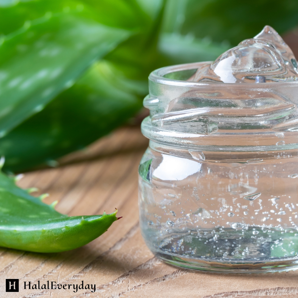 Aloe Vera Gel  HalalEveryday