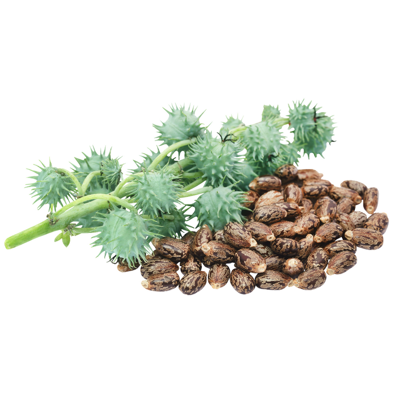 Castor Oil