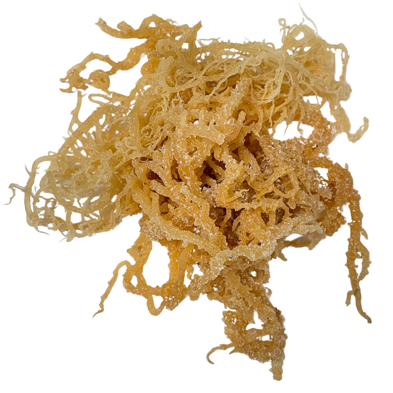 Irish Sea Moss Gel