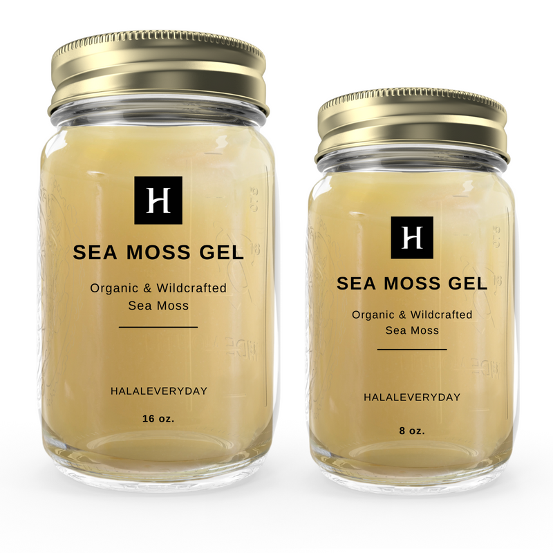 Sea Moss Gel – HalalEveryday