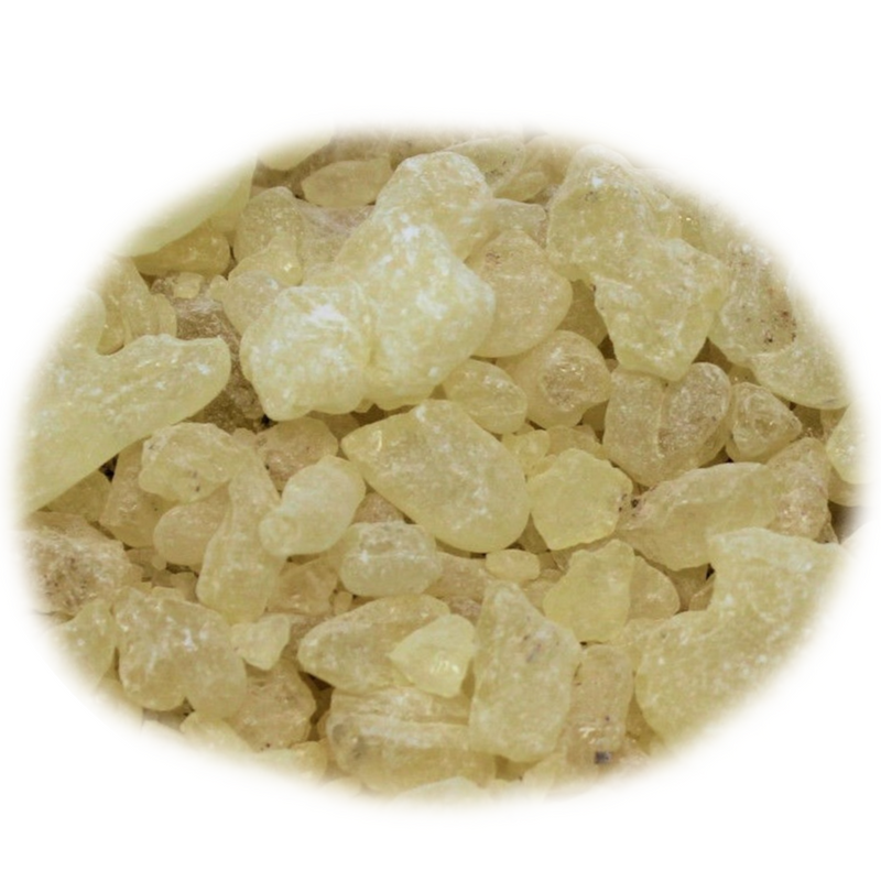 White Copal Resin